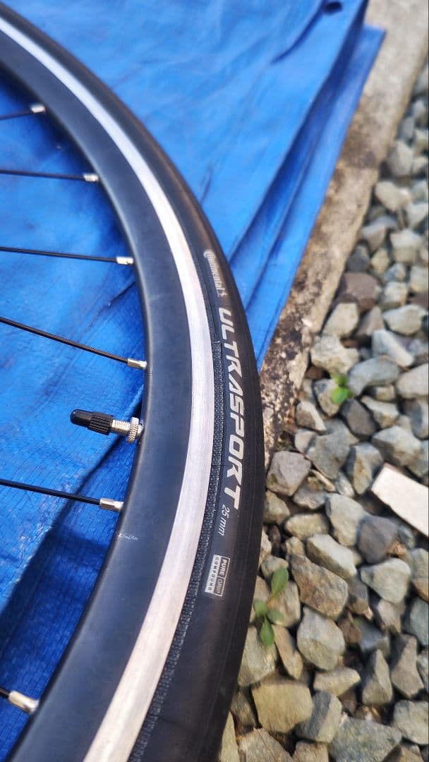 美品COLNAGO完組ホイール 11S互換 2本セット