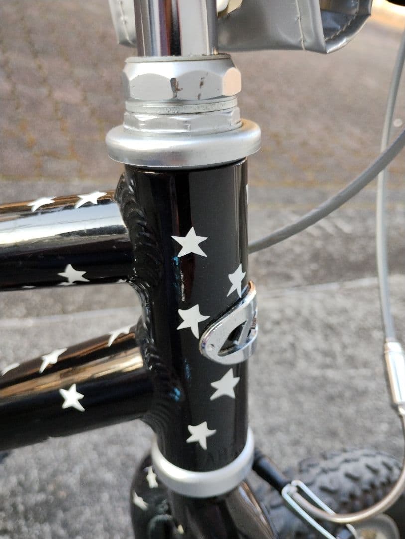 【限定カラー】LOUIS GARNEAU キッズバイク（16インチ）