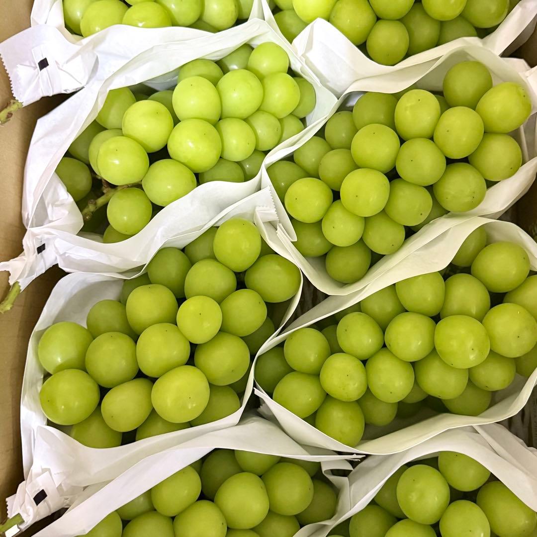 早い者勝ち！最後の最後！残り1箱！14日発送！山梨県産シャインマスカット5kg