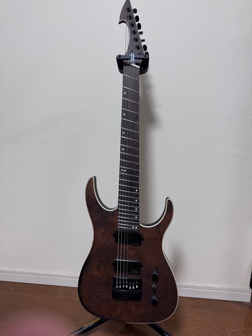 にざかな　Ormsby GUITARS HYPE GTI EVERTUNE