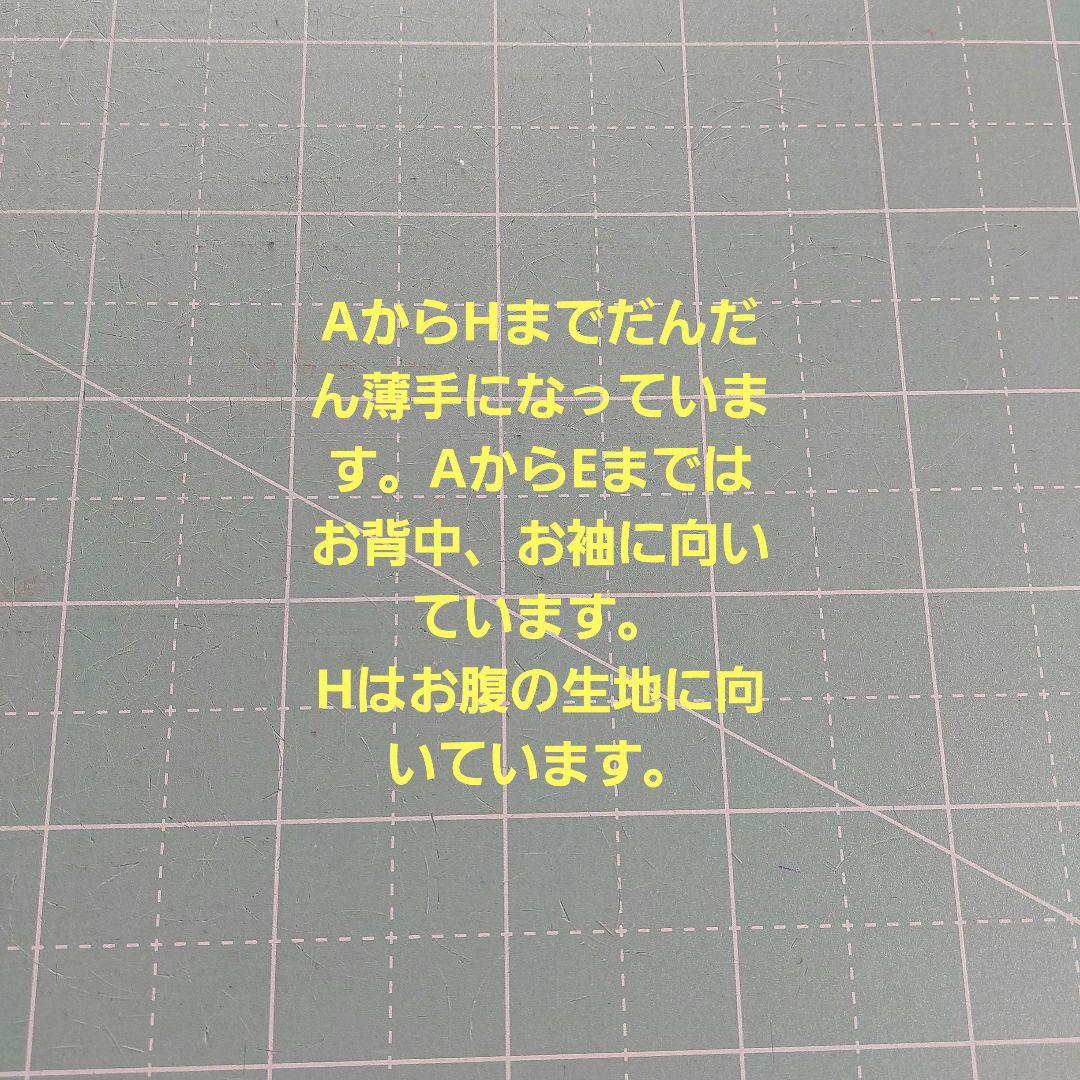 2025　春　　生地見本