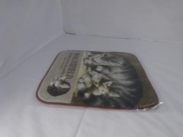 専用　ミニタオル　ハンカチ　母さん　アート　非売品　わちふぃーるど　ダヤン　猫