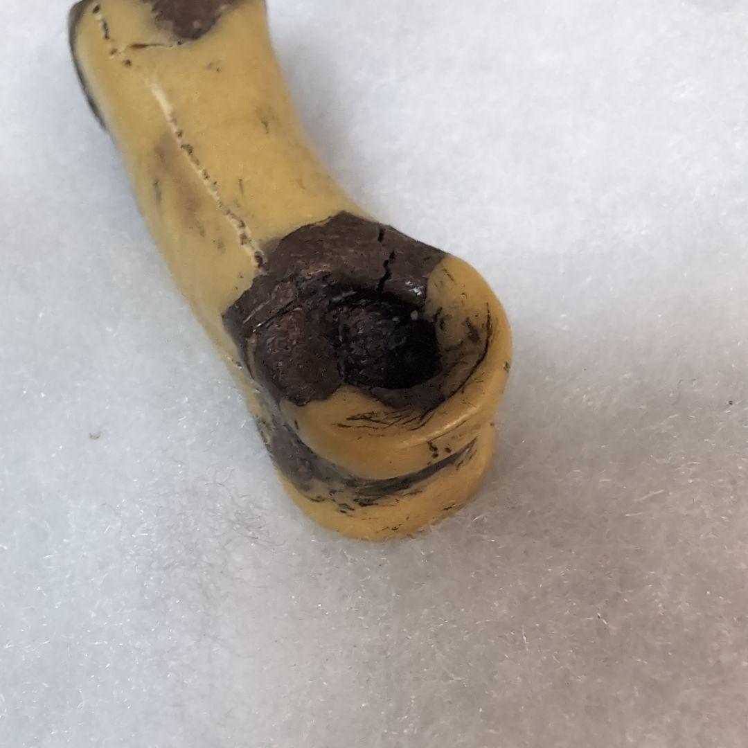 本物　恐竜　T-REX　ティラノサウルスの指骨　化石　補修あり　モンタナ