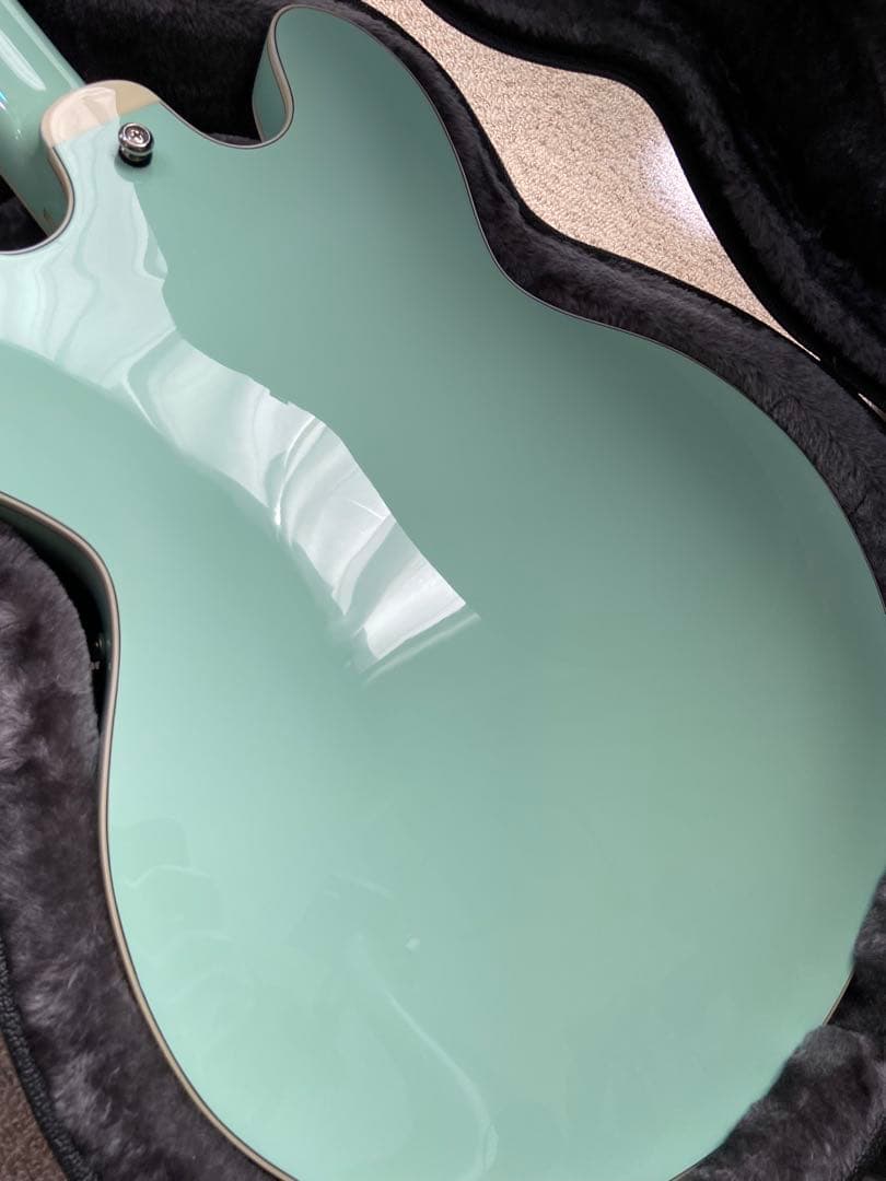 Seventyseven Exrubato Zebra Finch セミアコ