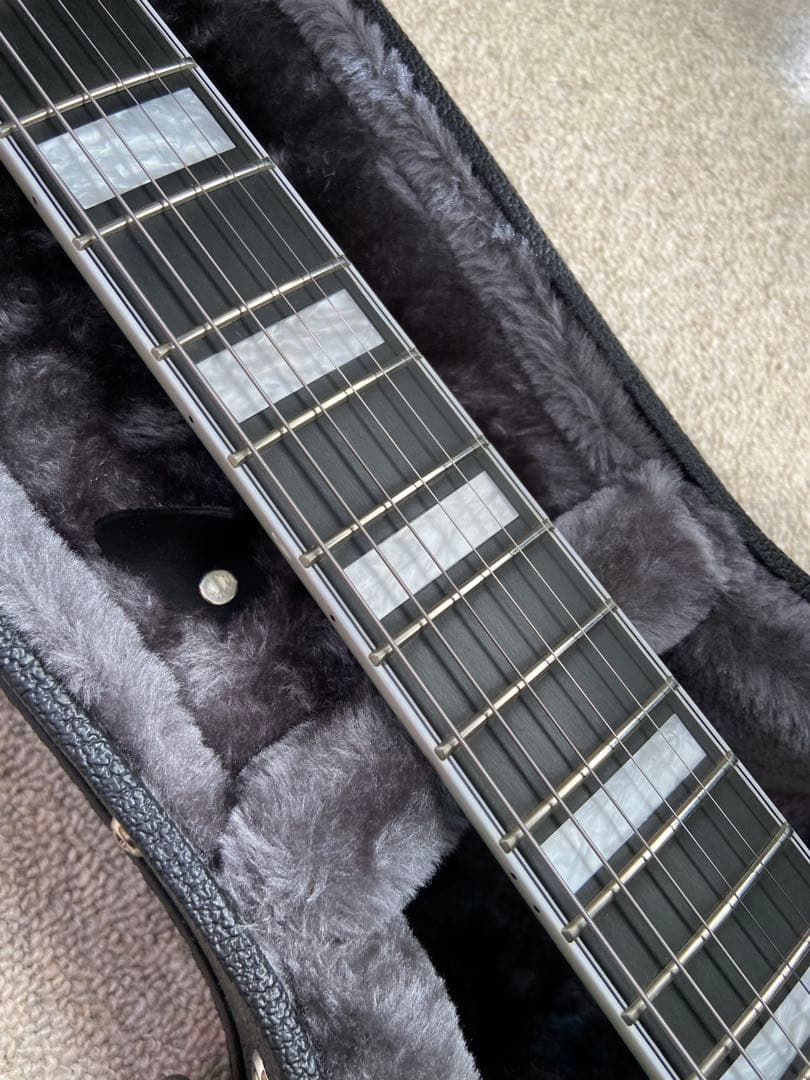 Seventyseven Exrubato Zebra Finch セミアコ