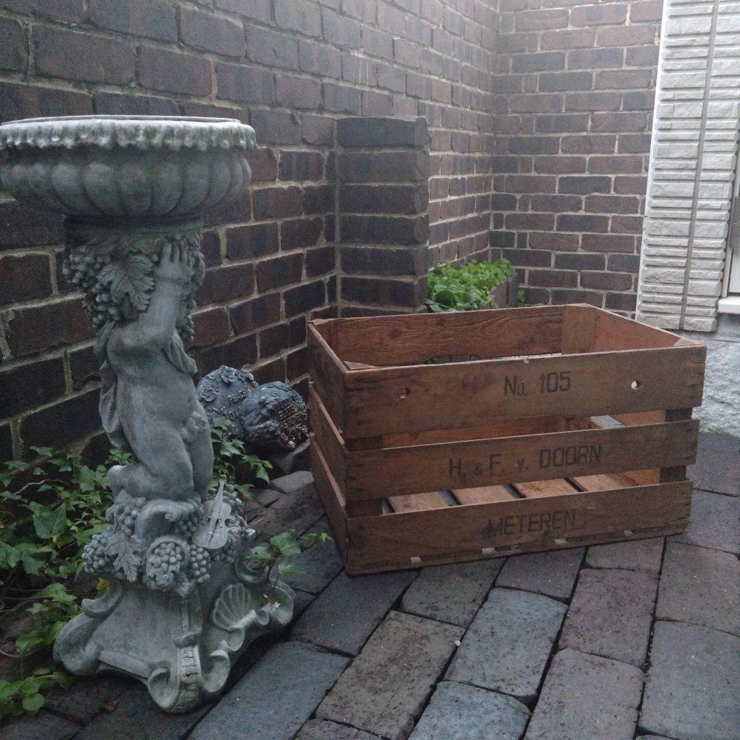 稀少 オランダ古物 苗物用 野菜用 古いベジタブルウッドボックス ヴィンテージ