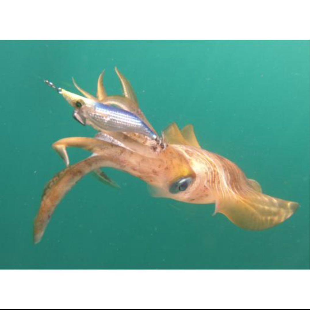 エメラルダスシャイン全色８個セット！