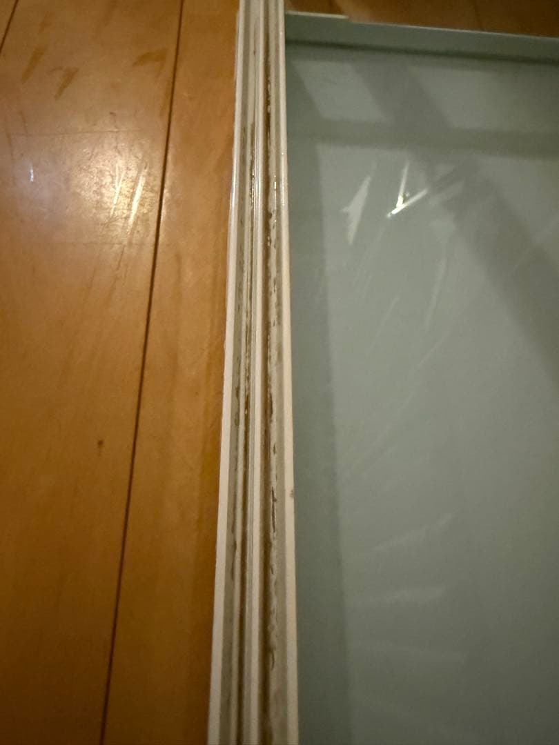 WH9045 パンテオンホワイト 爬虫類ケージ