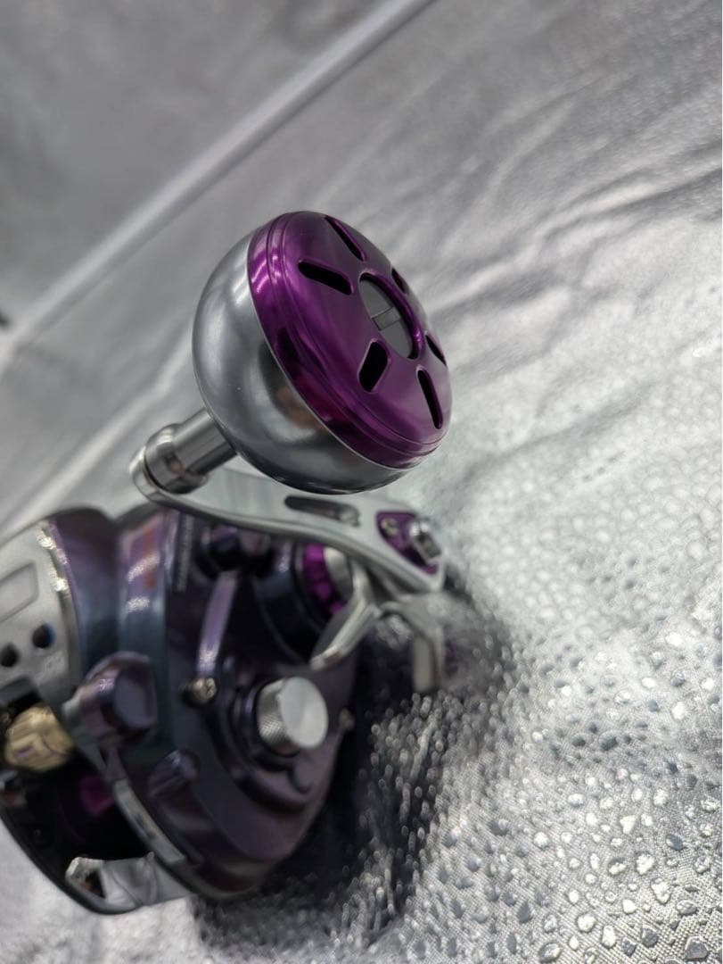 ダイワ　シーボーグリミテッド　200J LTD