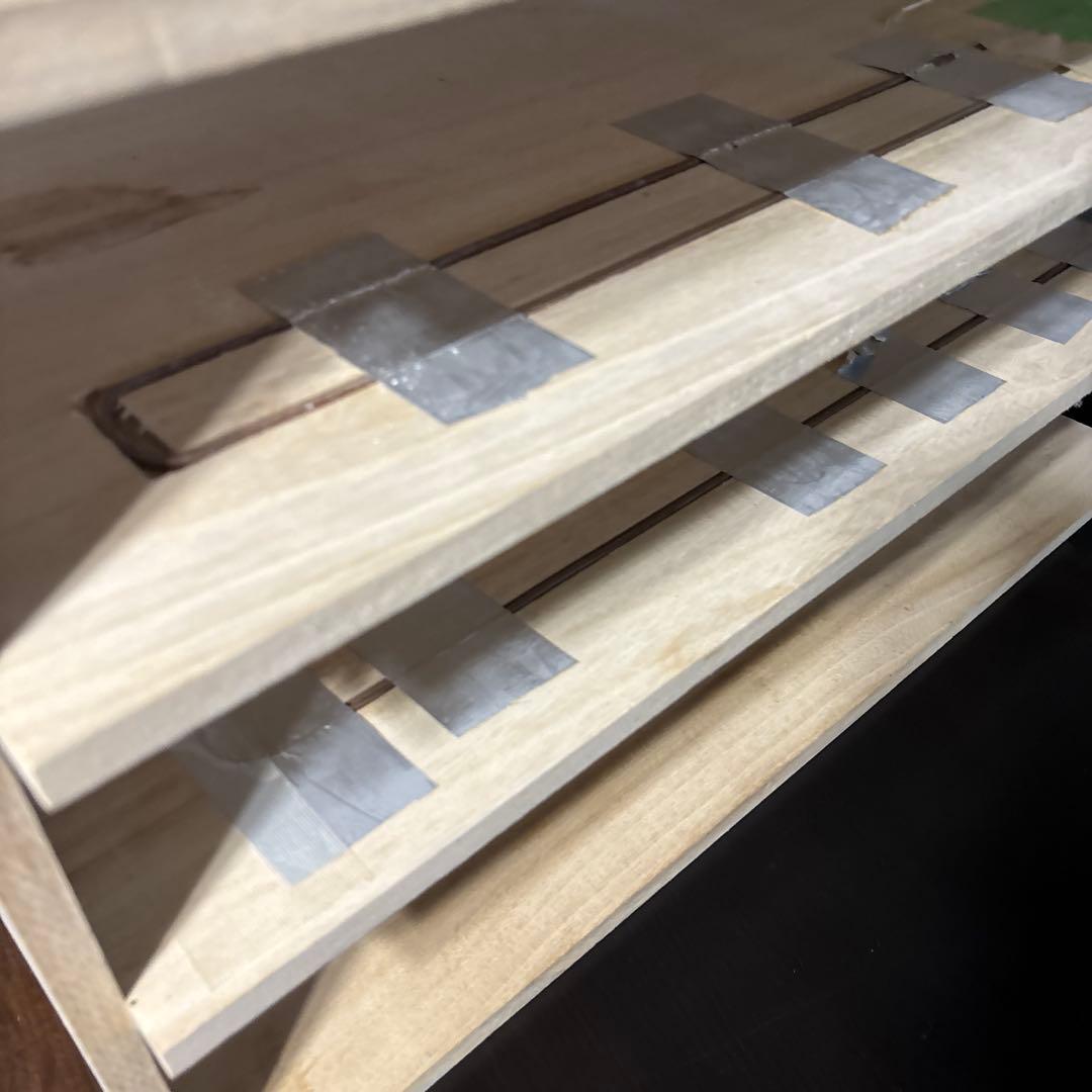 爬虫類飼育棚　6段　ダイソーシューズケース仕様　スネークラック中古