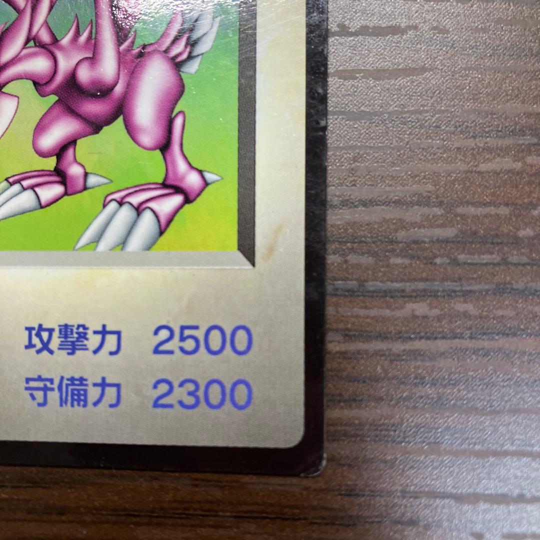 ホーリーナイトドラゴン DM