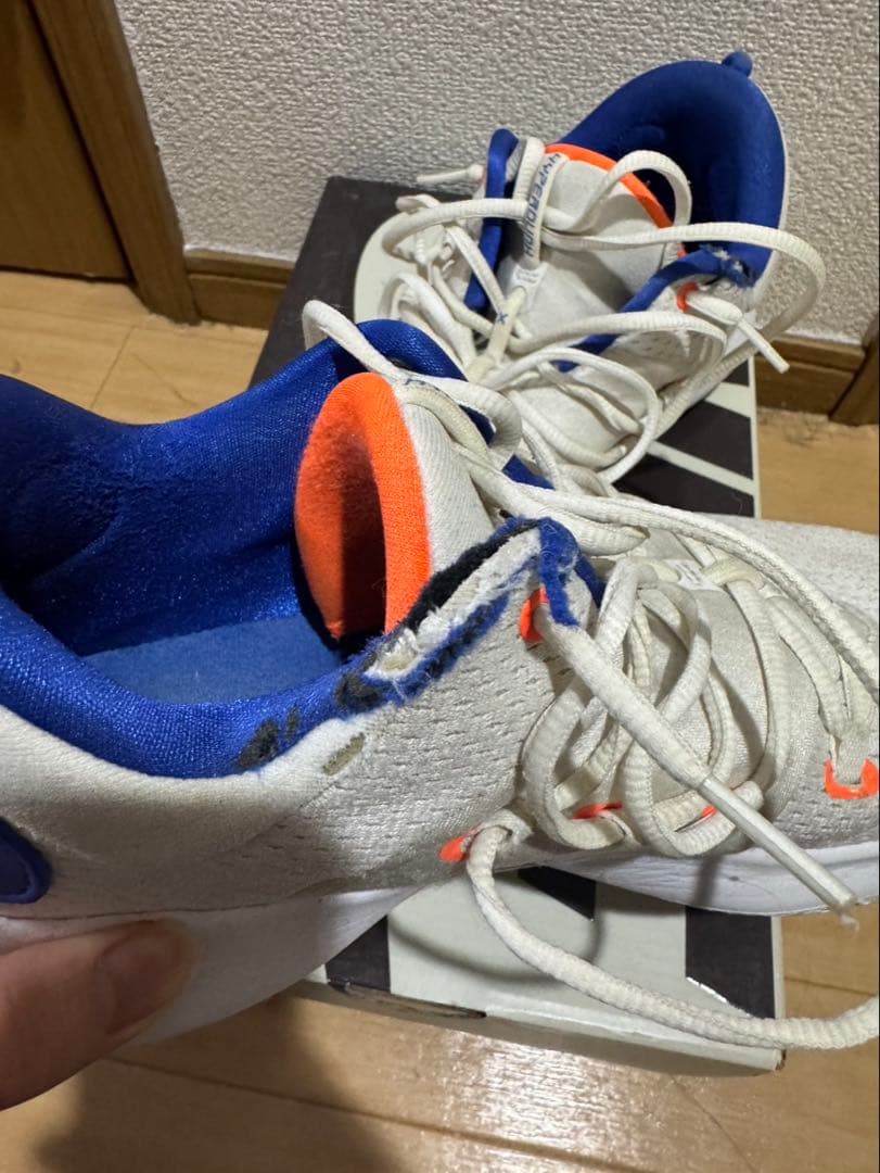 Nike ハイパーダンク 2018 Low