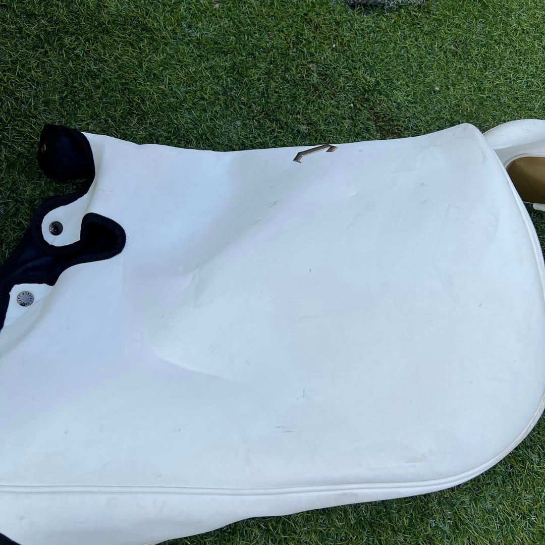 DC DESTINY CONCEPT キャディバッグ