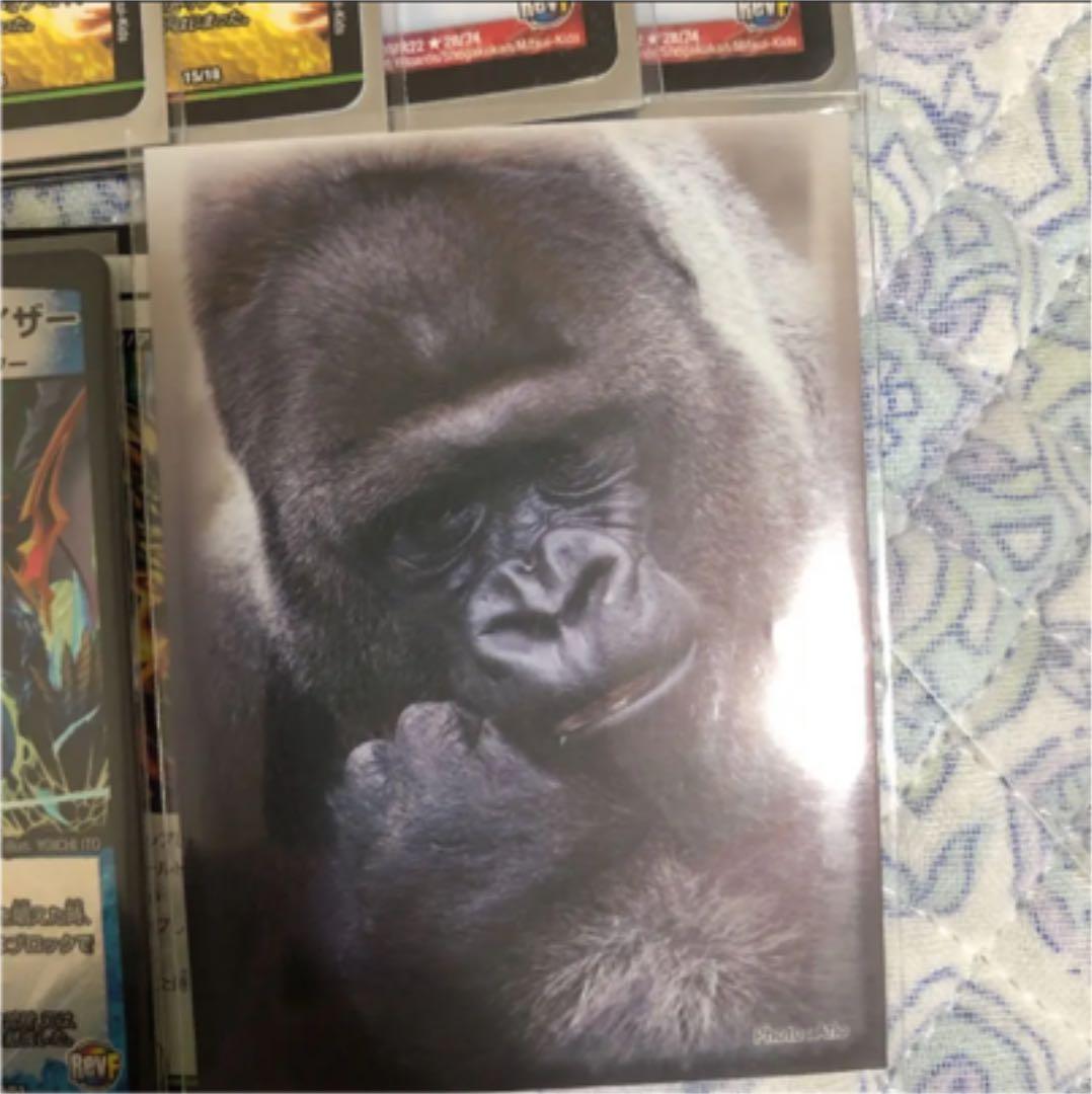 連ドラ パーツ付けます