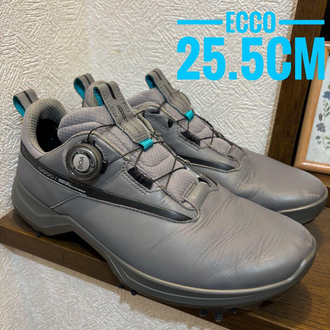 美品　ECCO GOLF BIOM G5 BOA ゴアテックス　25.5cm