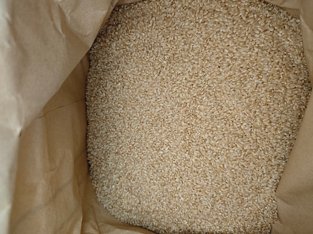 【玄米】石川米(能登産コシヒカリ)30kg - 世界農業遺産の地で栽培されたお米