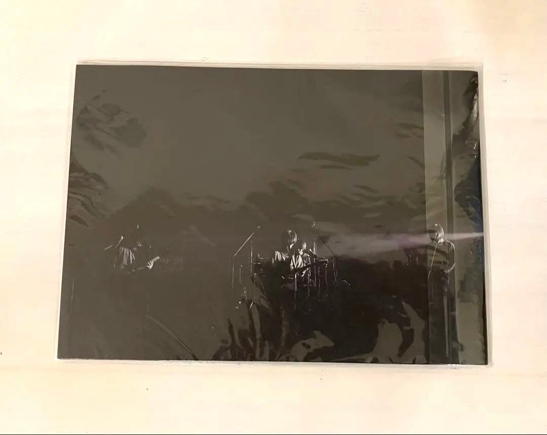 【新品未開封】ヒトリエ フォトアルバム　HITORIE