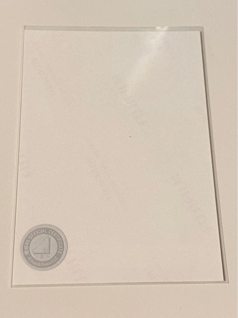 櫻坂46 2024年サンタ衣装 生写真 直筆サイン　森田ひかる　ヨリ