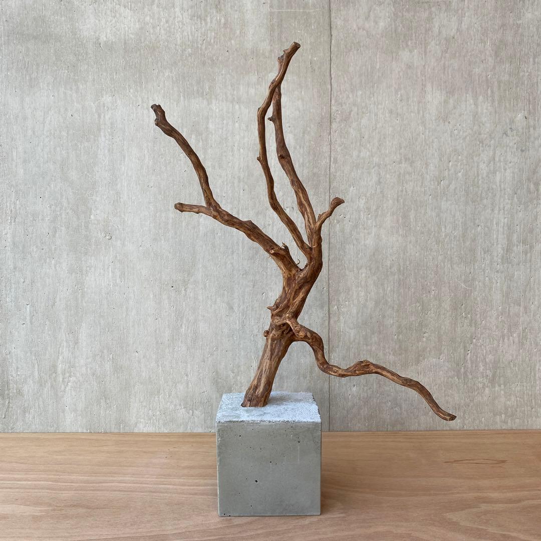 ❹【コンクリート盆栽 流木オブジェ】アクセサリー インテリア アート 爬虫類