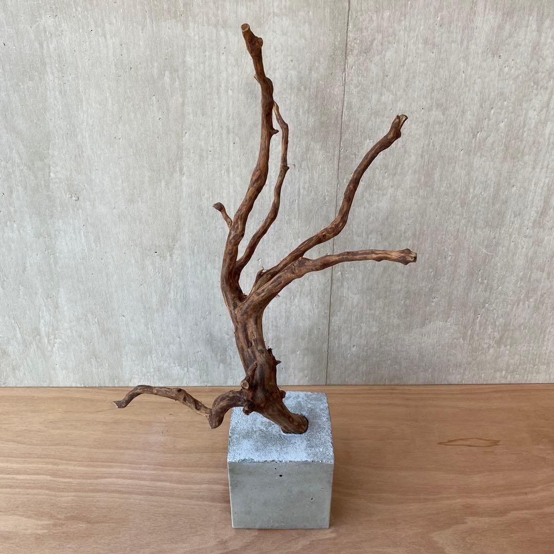 ❹【コンクリート盆栽 流木オブジェ】アクセサリー インテリア アート 爬虫類