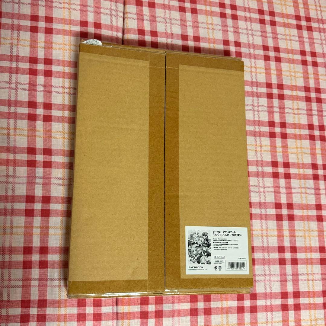 B8 完全受注生産品 ロール ジークレーアクリルアート 30th記念 ロックマン