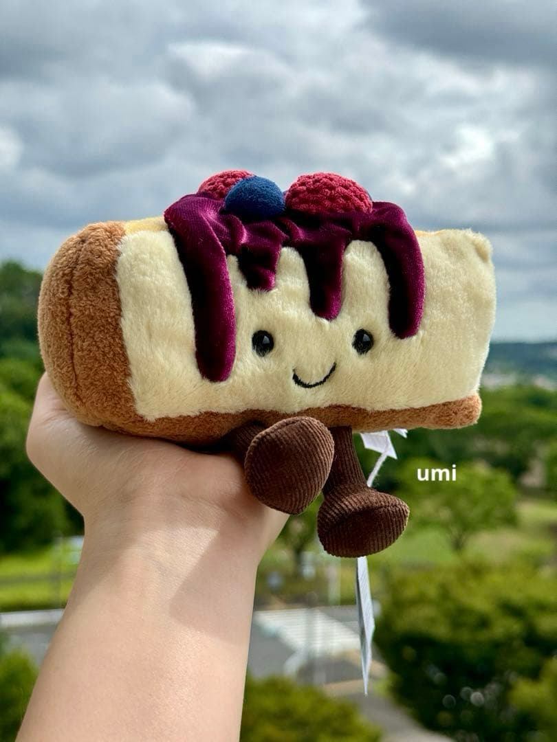 ニューヨーク限定 ジェリーキャット チーズケーキ 入手困難