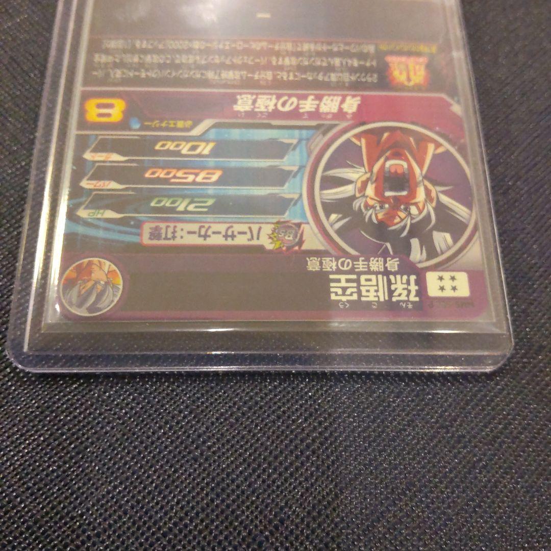 スーパードラゴンボールヒーローズ　mm5-sec p パラレル