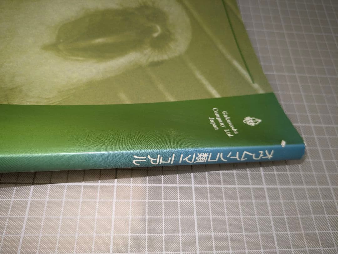 「オウムインコ類マニュアル」学窓社