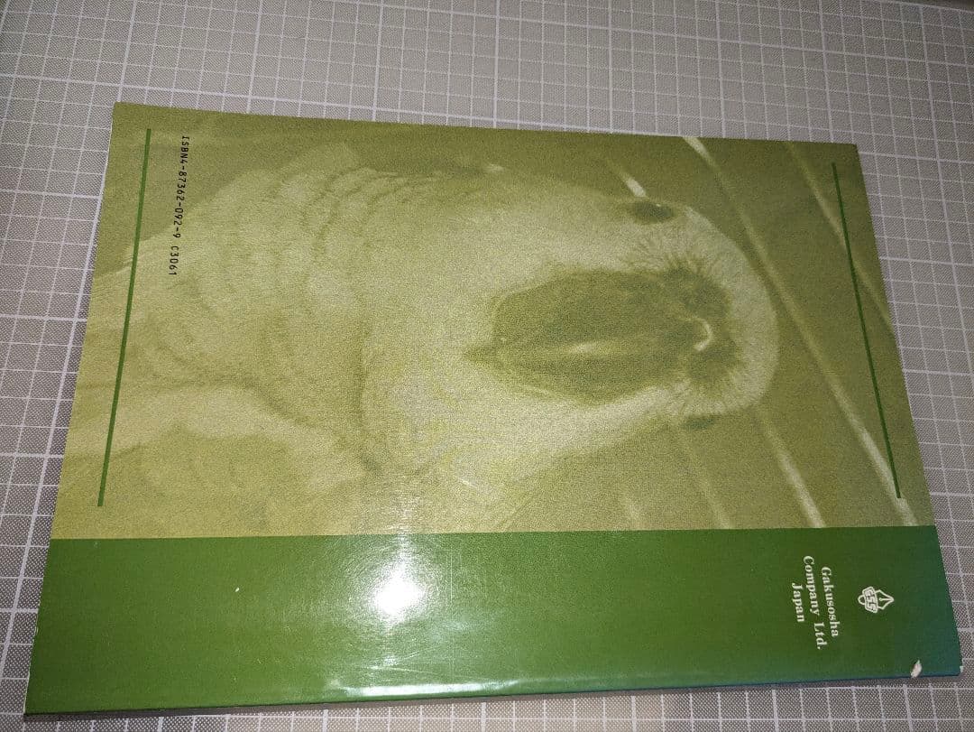 「オウムインコ類マニュアル」学窓社