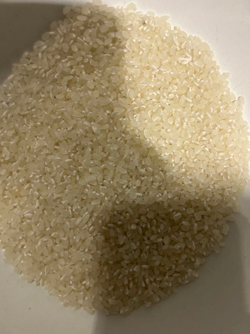 令和7年　茨城県産コシヒカリ　白米25キロ