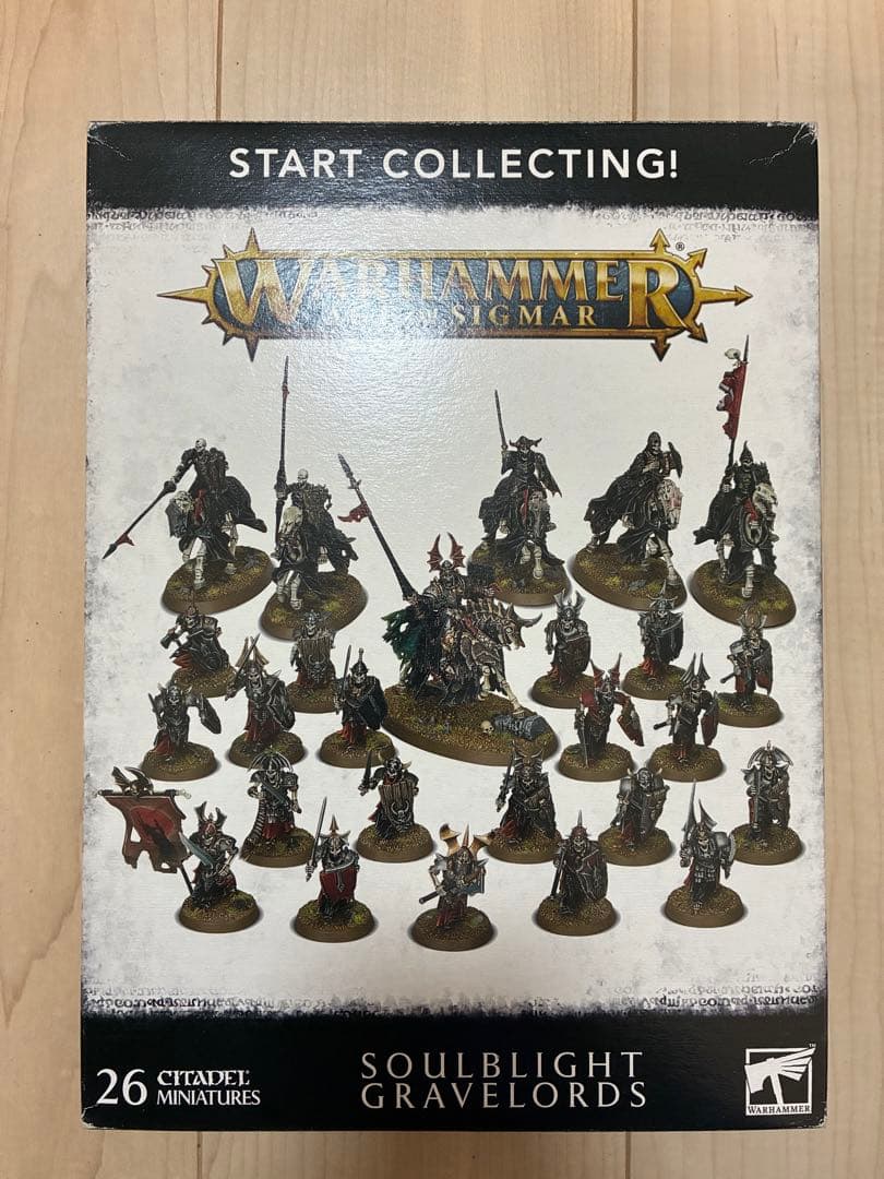 ウォーハンマーAOS ソウルブライトグレイヴロード　スタコレ