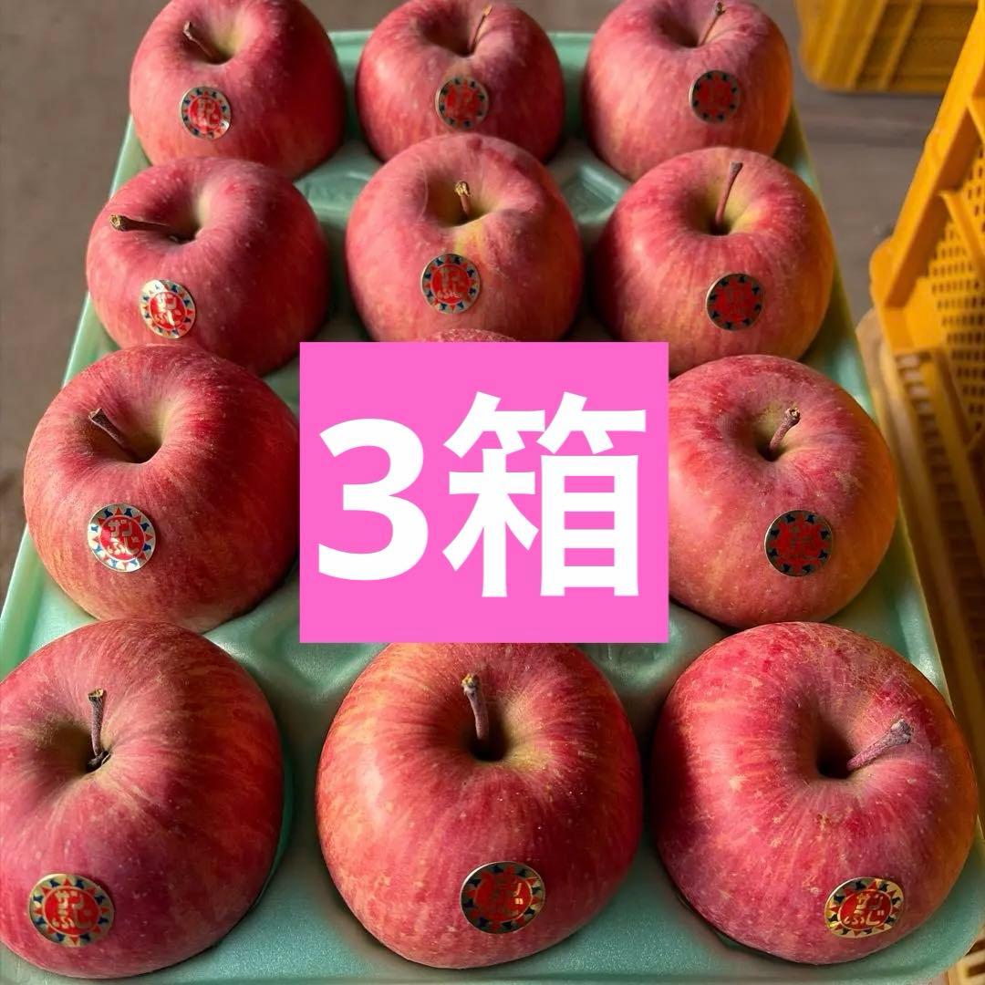 山形県産　サンふじ　贈答用　特秀3キロパック詰め　１２玉入り×3箱