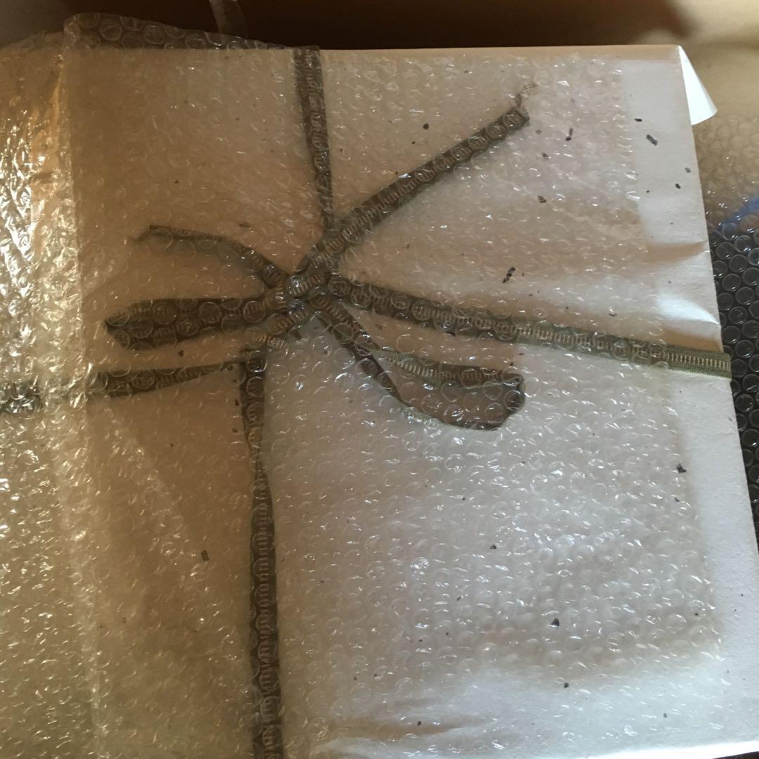 花壺 苔泥彩丸紋禅