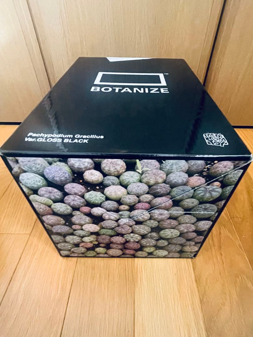 ボタナイズ メディコムトイ　1LDK MEDICOM TOY BOTANIZE