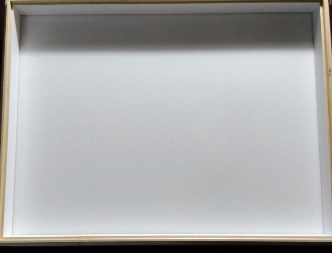 バードウイング社製中型ドイツ箱（新品２箱セット）