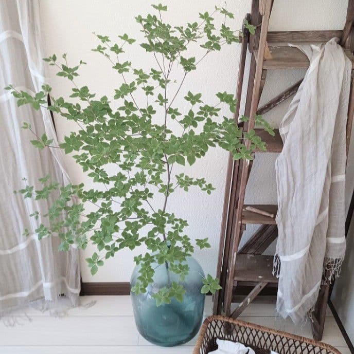 アンティーク ラダー 折りたたみ木製梯子 脚立 店舗什器 古道具 引取限定