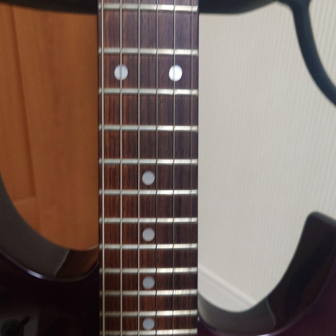 FERNANDES　M-85C 瀧川一郎モデル