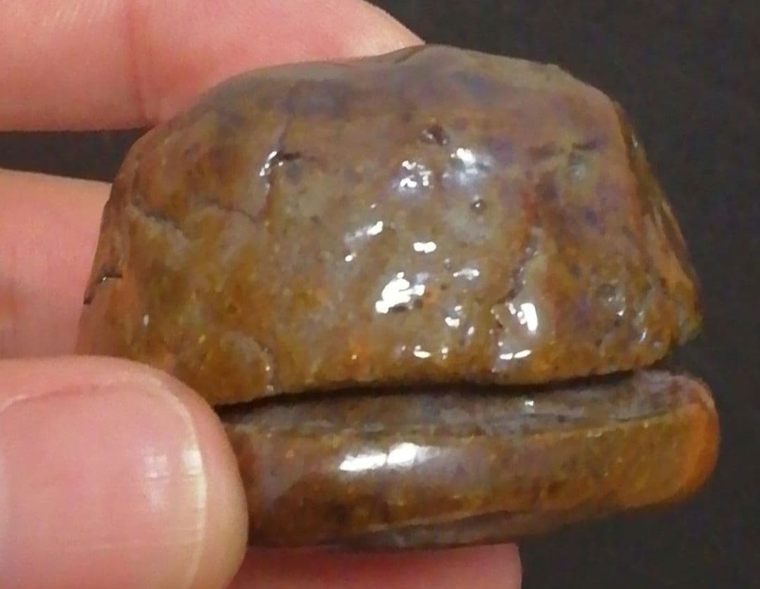 覚々斎？書付　楽焼　梅　香合　共箱　茶道具