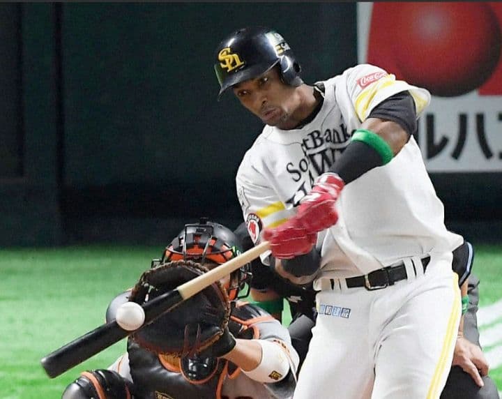 【プレミア】グラシアル SAM BAT 硬式木製バット 86cm 913g