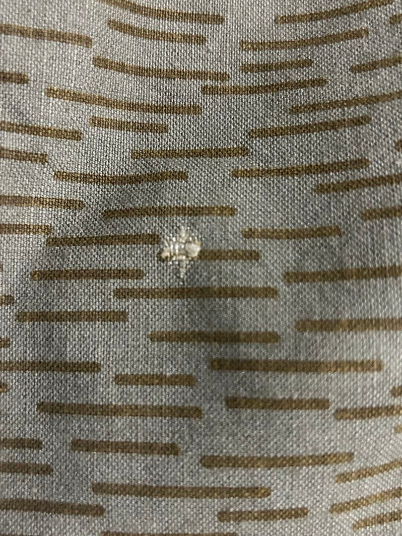 東ドイツ軍　レインドロップカモ　テント