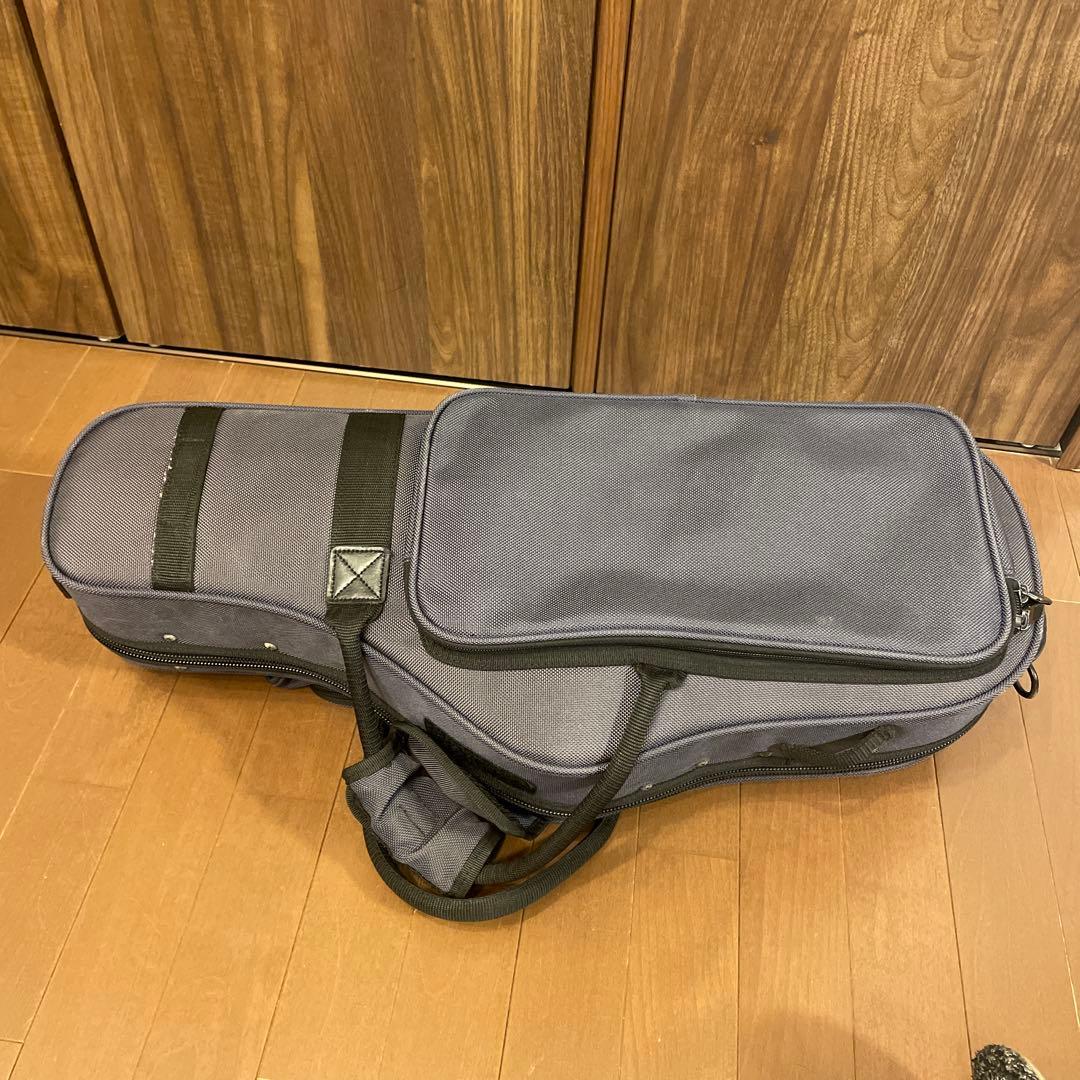 PRO-TEC プロテック サックスケース