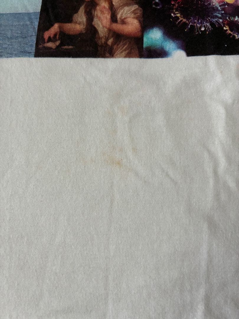 RADWIMPS 限定生産 Tシャツ ラッドウィンプス FOREVER DAZE