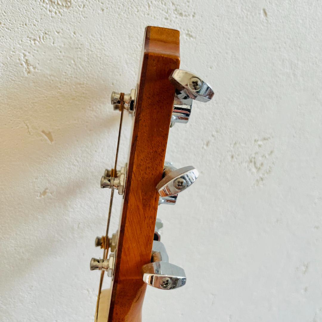 ✨️James✨️ アコースティックギター JFM-1NAT