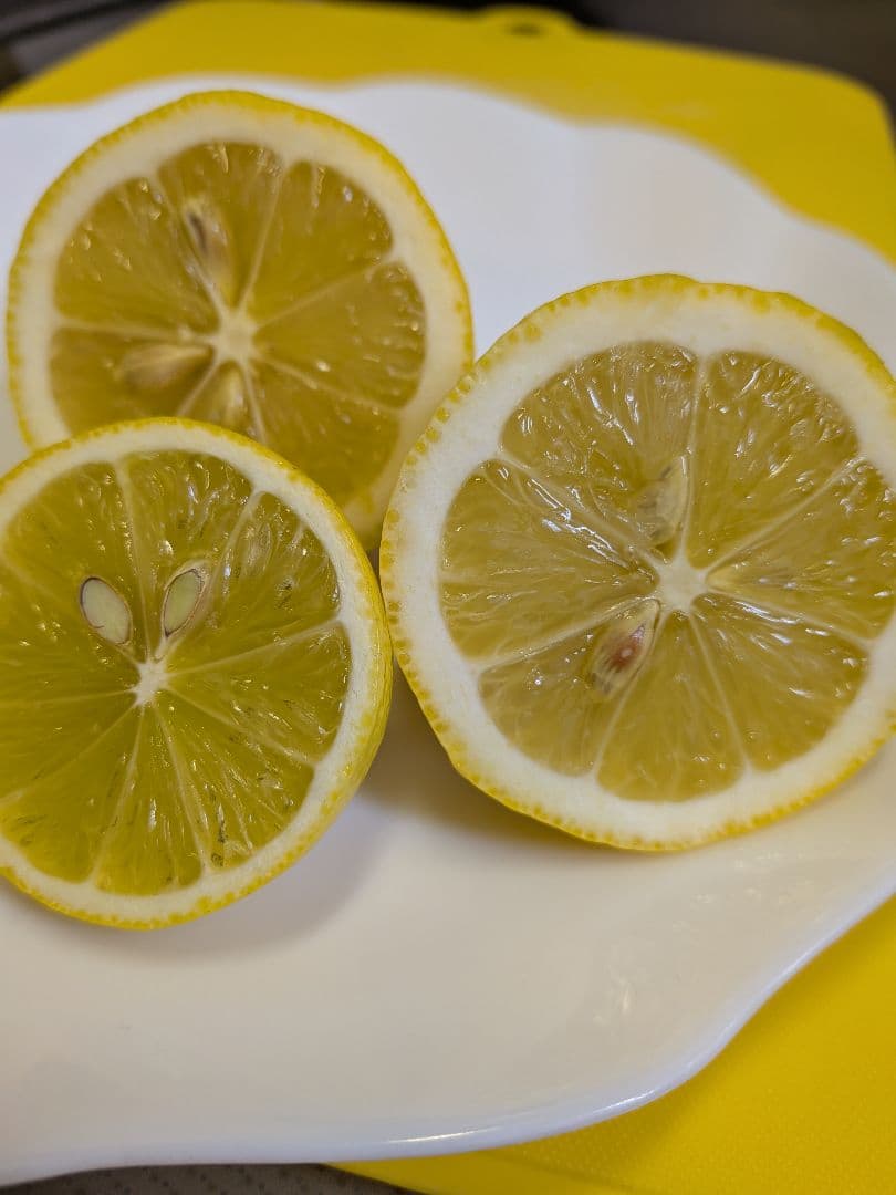 トオル　瀬戸田産　小粒たまみミカン＆レモン＆花柚子　箱込み15kg