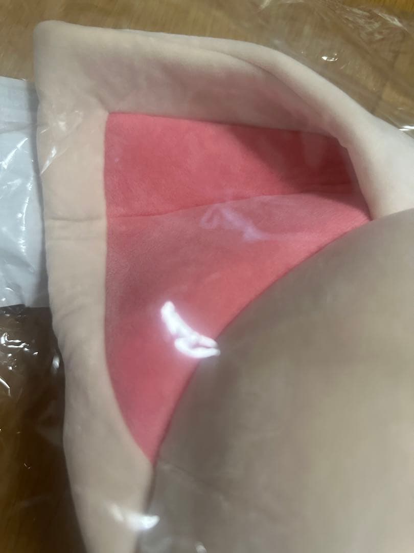 StrayKids アイエン SKZOO クッション