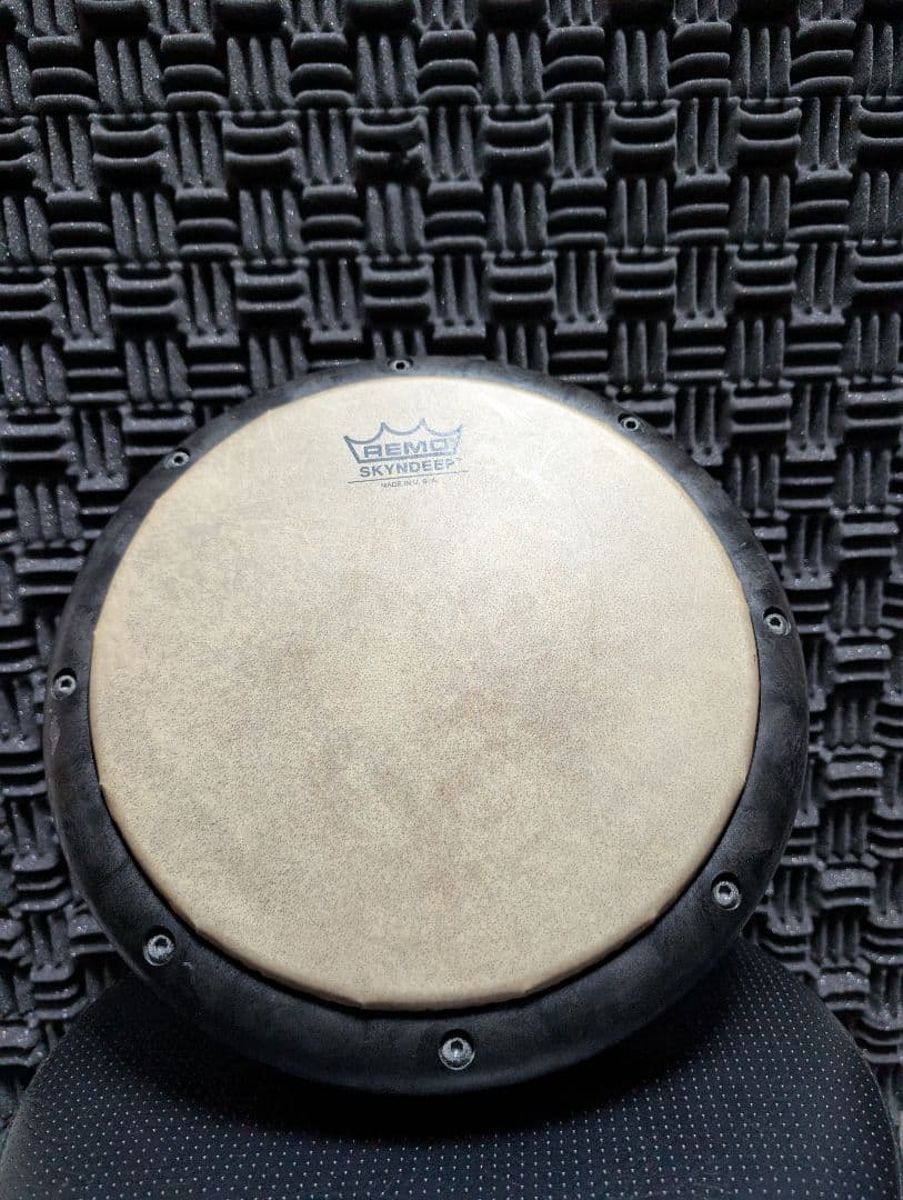 パーカッション・打楽器 Remo Tubanito