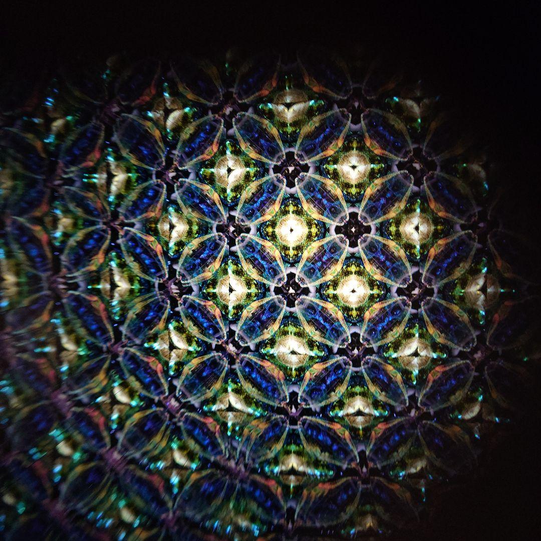 g*s様 万華鏡　カレイドスコープ　小嶌淳&喜多里加　SERAPH　セラフ