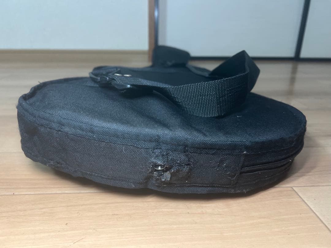 EDWARDSエドワーズプロフェッショナルギターとベース