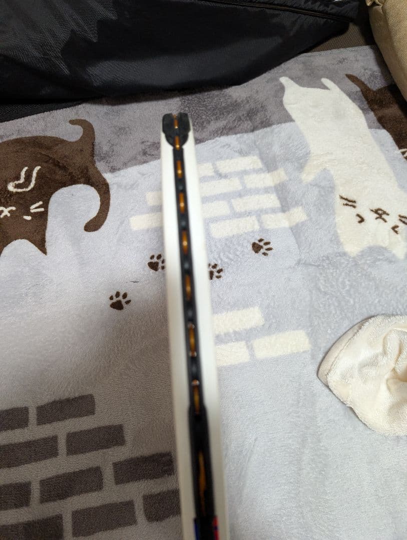 Tecnifibre TF-40 ラケット 2本セット