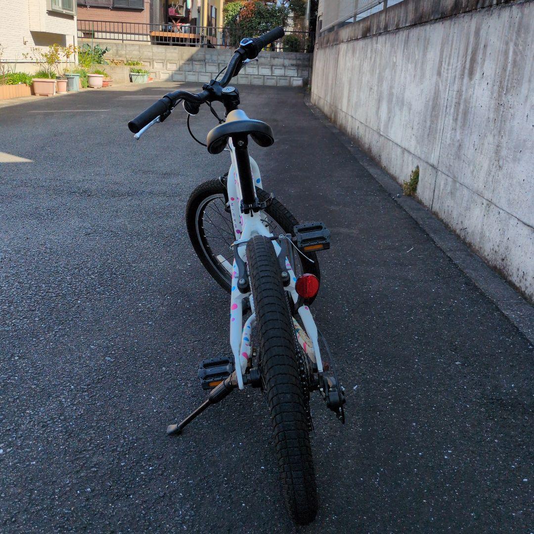 【直接引取り希望】 マーリン20インチ　DONKY JR 20